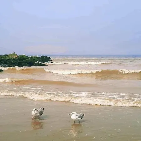 In With Coastal Views, Cleaning Included 公寓